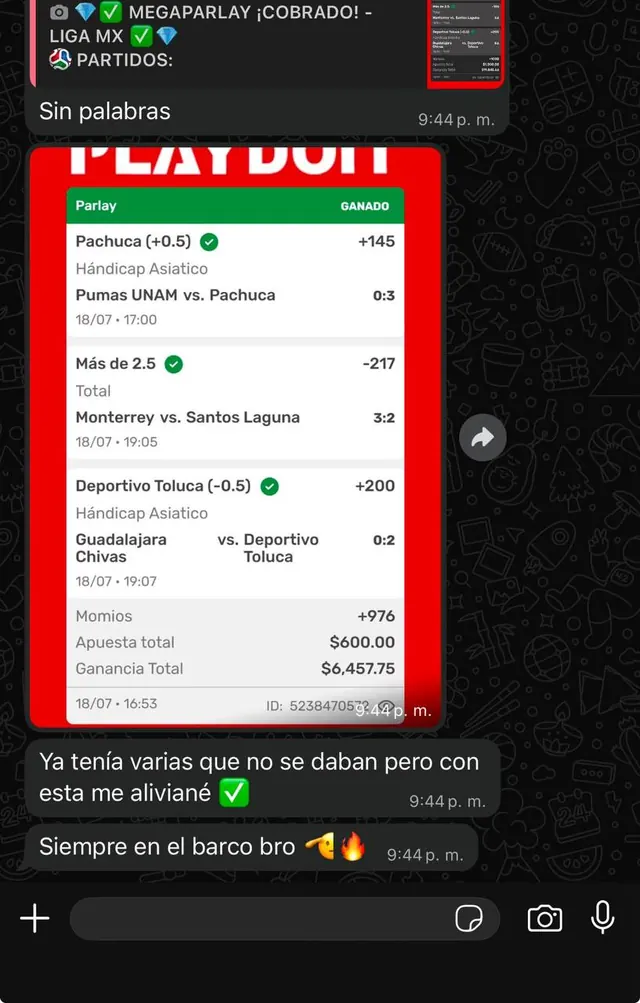 Conversación de WhatsApp: miembro comparte parlay cobrado y comenta que con esta jugada se recuperó